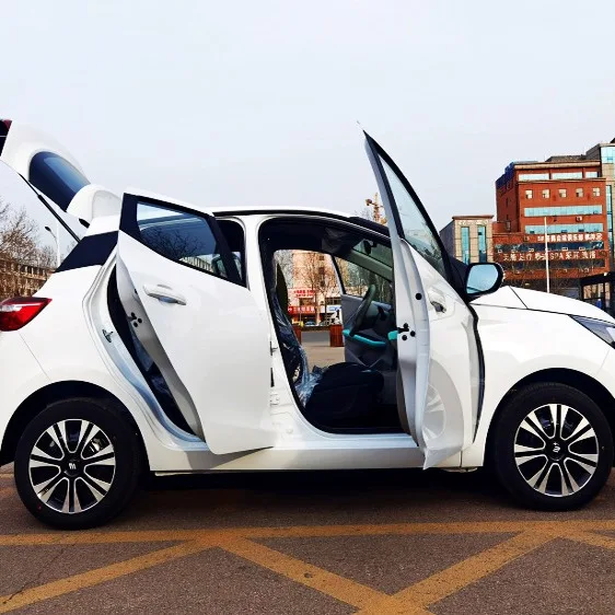 Novo veículo elétrico de quatr - Electric Scooter avaliação e preço